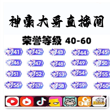 抖音53等级需要多少钱